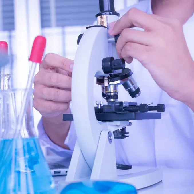 فرآیند تولید زینک بورات